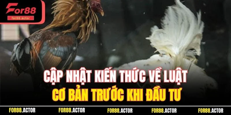 Cập nhật kiến thức về luật cơ bản trước khi đầu tư Cập nhật kiến thức về luật cơ bản trước khi đầu tư