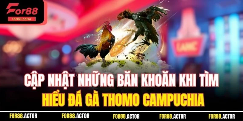 Cập nhật những băn khoăn khi tìm hiểu đá gà Thomo Campuchia Cập nhật những băn khoăn khi tìm hiểu đá gà Thomo Campuchia