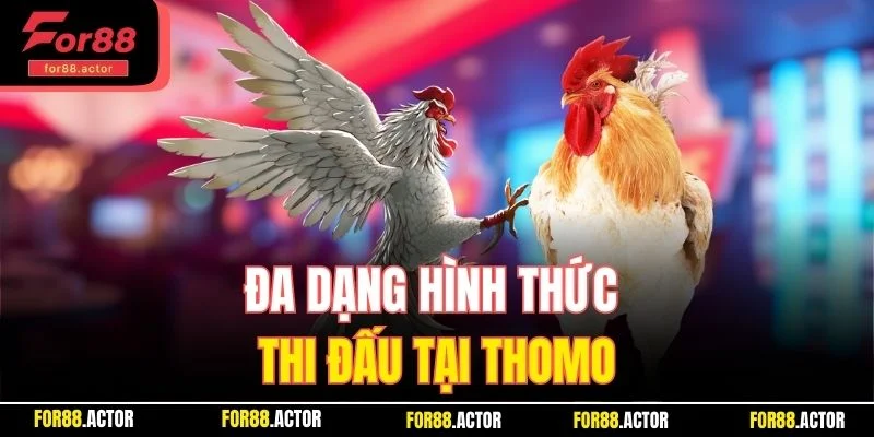 Đa dạng hình thức thi đấu tại Thomo Đa dạng hình thức thi đấu tại Thomo
