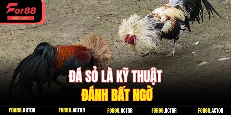 Đá sỏ là kỹ thuật đánh bất ngờ Đá sỏ là kỹ thuật đánh bất ngờ