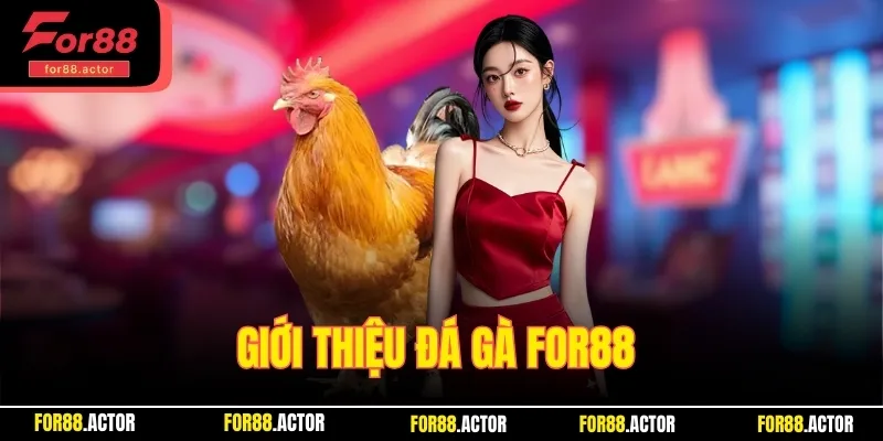 Giới thiệu đá gà For88
