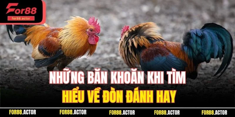 Những băn khoăn khi tìm hiểu về đòn đánh hay Những băn khoăn khi tìm hiểu về đòn đánh hay