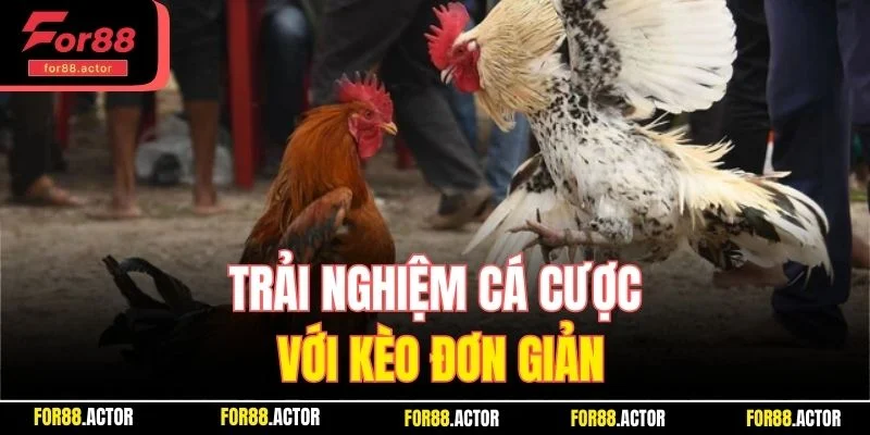 Trải nghiệm cá cược với kèo đơn giản Trải nghiệm cá cược với kèo đơn giản
